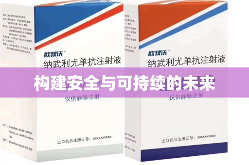 泰安构建安全与可持续的未来