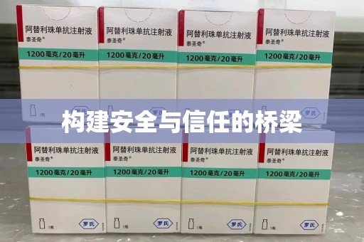 泰安构建安全与信任的桥梁