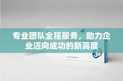 泰安专业团队全程服务，助力企业迈向成功的新高度